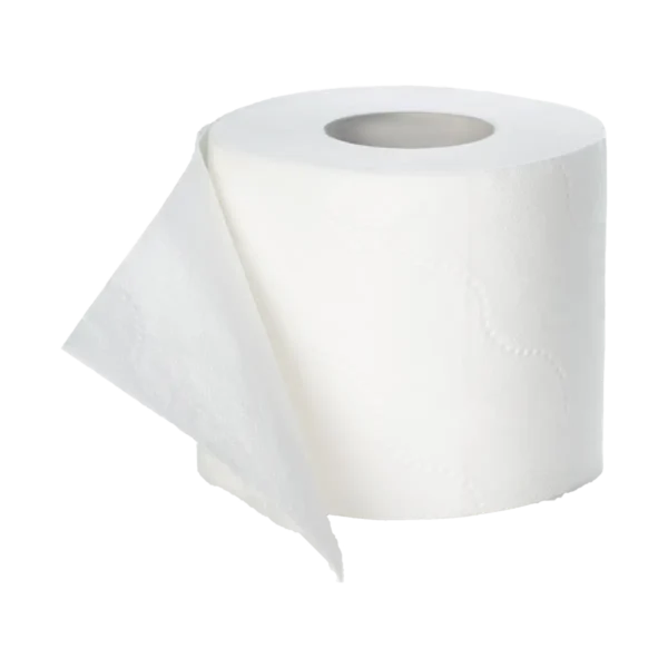 Toiletpapier tissue recycled 2-lgs 400 vel